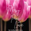 Christian Wallpaper - Pretty Tulips Jude 1:2