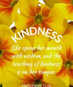 Christian Wallpaper - Primrose Proverbs 31:26