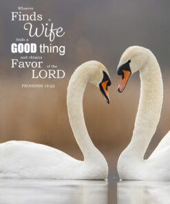Proverbs 18:22 - Whoever Finds a Wife - Bible Verses To Go