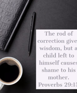 Proverbs 29:15 - Rod of Correction Gives Wisdom - Bible Verses To Go