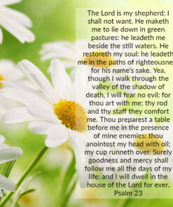 Psalm 23 - Lord is My Shepherd; I Shall Not Want - Bible Verses To Go