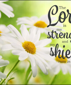 Psalm 28:7 - Strength and Shield - Bible Verses To Go