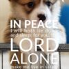 Christian Wallpaper - Puppy Psalm 4:8