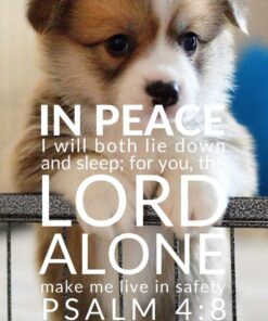 Christian Wallpaper - Puppy Psalm 4:8