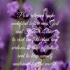 Christian Wallpaper - Pure Religion James 1:27