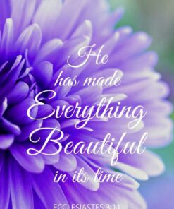 Christian Wallpaper - Purple Bloom Ecclesiastes 3:11