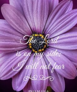 Christian Wallpaper - Purple Daisy Psalm 118:6