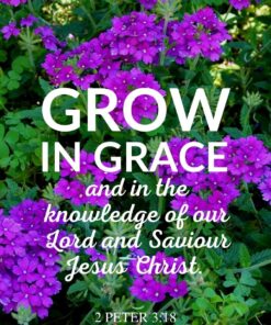 Christian Wallpaper - Purple Floral 2 Peter 3:18