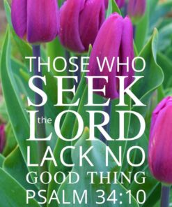 Christian Wallpaper - Purple Tulips Psalm 34:10