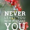 Christian Wallpaper - Quince Hebrews 13:5