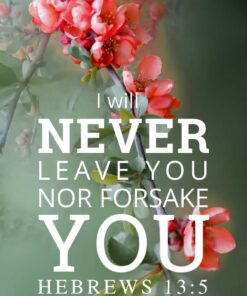 Christian Wallpaper - Quince Hebrews 13:5