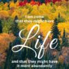 Christian Wallpaper - Rainbow Forest John 10:10