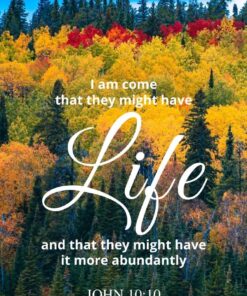 Christian Wallpaper - Rainbow Forest John 10:10