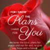 Christian Wallpaper – Red Rose Jeremiah 29:11