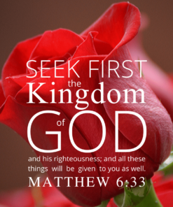 Christian Wallpaper – Rec Rose Matthew 6:33
