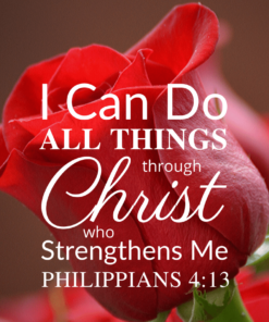 Christian Wallpaper – Red Rose Philippians 4:13