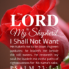 Christian Wallpaper – Red Rose Psalm 23:1-3