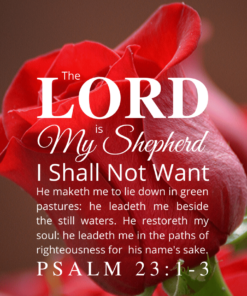 Christian Wallpaper – Red Rose Psalm 23:1-3