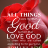 Christian Wallpaper – Red Rose Romans 8:28