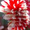 Christian Wallpaper - Red n Whites James 1:17