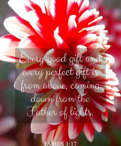 Christian Wallpaper - Red n Whites James 1:17