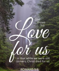 Christian Wallpaper - Redwood Forest Romans 5:8