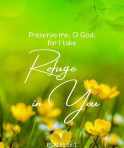 Christian Wallpaper - Refuge in You Psalm 16:1