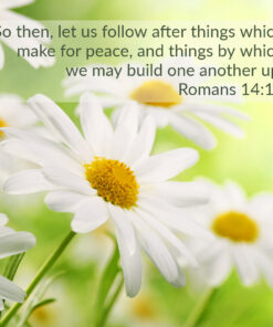 Romans 14:19 - Follow After Things For Peace - Bible Verses To Go