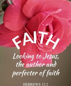 Christian Wallpaper - Rose Bloom Hebrews 12:2