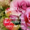 Christian Wallpaper - Rose Hearts 1 John 4:18