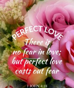 Christian Wallpaper - Rose Hearts 1 John 4:18
