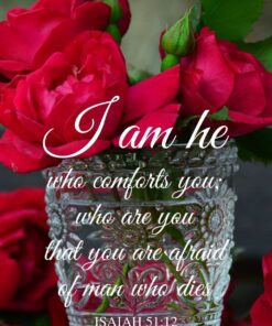 Christian Wallpaper - Rose Vase Isaiah 51:12