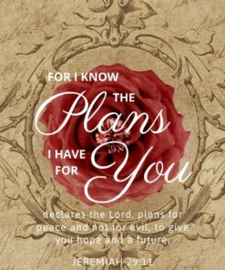 Christian Wallpaper – Rose Diamond Jeremiah 29:11