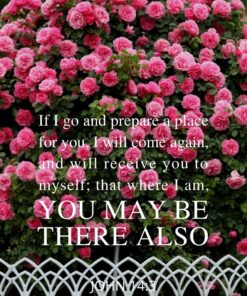 Christian Wallpaper - Roses Galore John 14:3