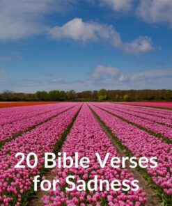 20 Bible Verses for Sadness - Download