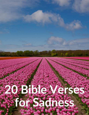 20 Verses for Sadness – DOWNLOAD