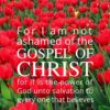 Christian Wallpaper - Sea of Tulips Romans 1:16