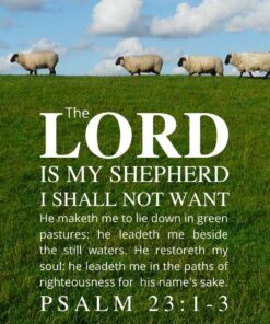Christian Wallpaper - Sheep Psalm 23:1-3
