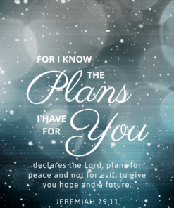 Christian Wallpaper - Snowfall Jeremiah 29:11