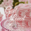 Christian Wallpaper – Soft Pink John 3:16