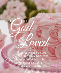 Christian Wallpaper – Soft Pink John 3:16