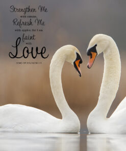 Song of Solomon 2:5 - I am Faint with Love - Bible Verses To Go