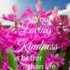 Christian Wallpaper - Spring Flowers Psalm 63:3
