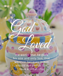 Christian Wallpaper – Spring John 3:16
