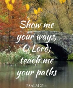 Christian Wallpaper - Stone Pathway Psalm 25:4