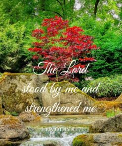 Christian Wallpaper - Stood by Me 2 Timothy 4:17