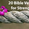 Bible Verses About Strength