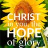Christian Wallpaper - Sunflower Glory Colossians 1:27