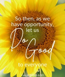 Christian Wallpaper - Sunflower Light Galatians 6:10