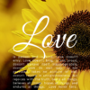Christian Wallpaper – Sunflower 1 Corinthians 13:4-8